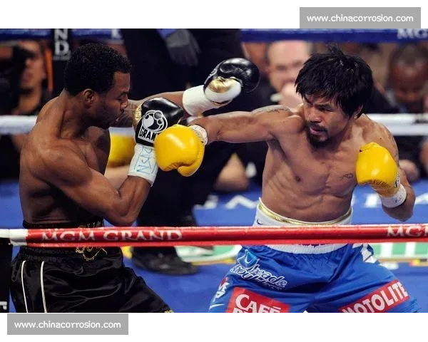 诺曼五回合残暴终结佐佐木，强势卫冕 WBO 次中量级王座